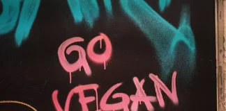 Najlepsze roślinne nuggetsy z kurczaka, których powinieneś spróbować