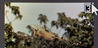 Jaka jest różnica między JPG a JPEG