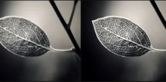 Jakie jest ustawienie ostrości w telewizorze