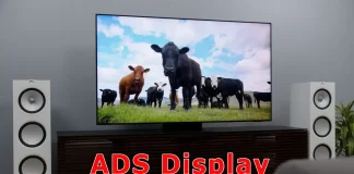 Co to jest wyświetlacz ADS: Wyjaśnienie ADS vs IPS