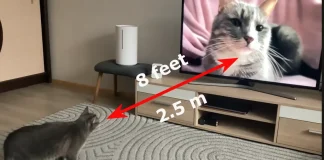 Odległość oglądania 65-calowego telewizora